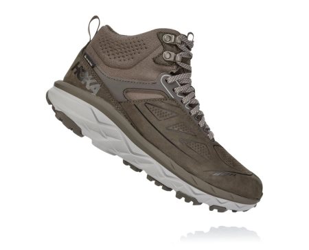 Hoka One One Challenger Mid Gore-tex Ženske Pohodniški Čevlji Rjava SI-723468A